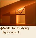 Model for studying light control